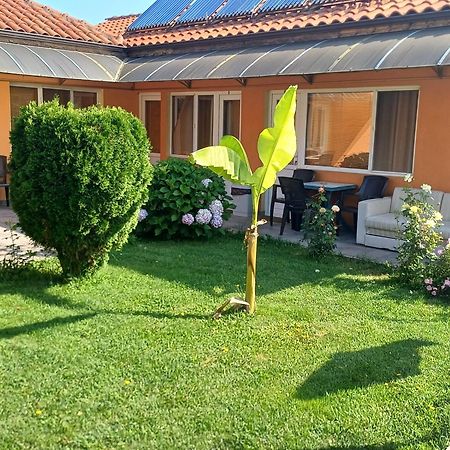 Hotel Dom Zaharievi Byala  Esterno foto