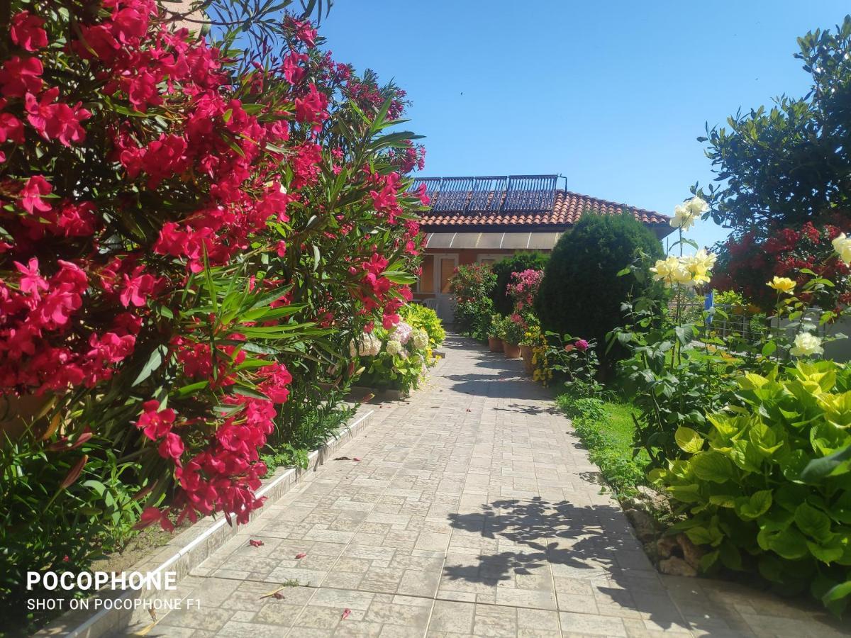 Hotel Dom Zaharievi Byala  Esterno foto