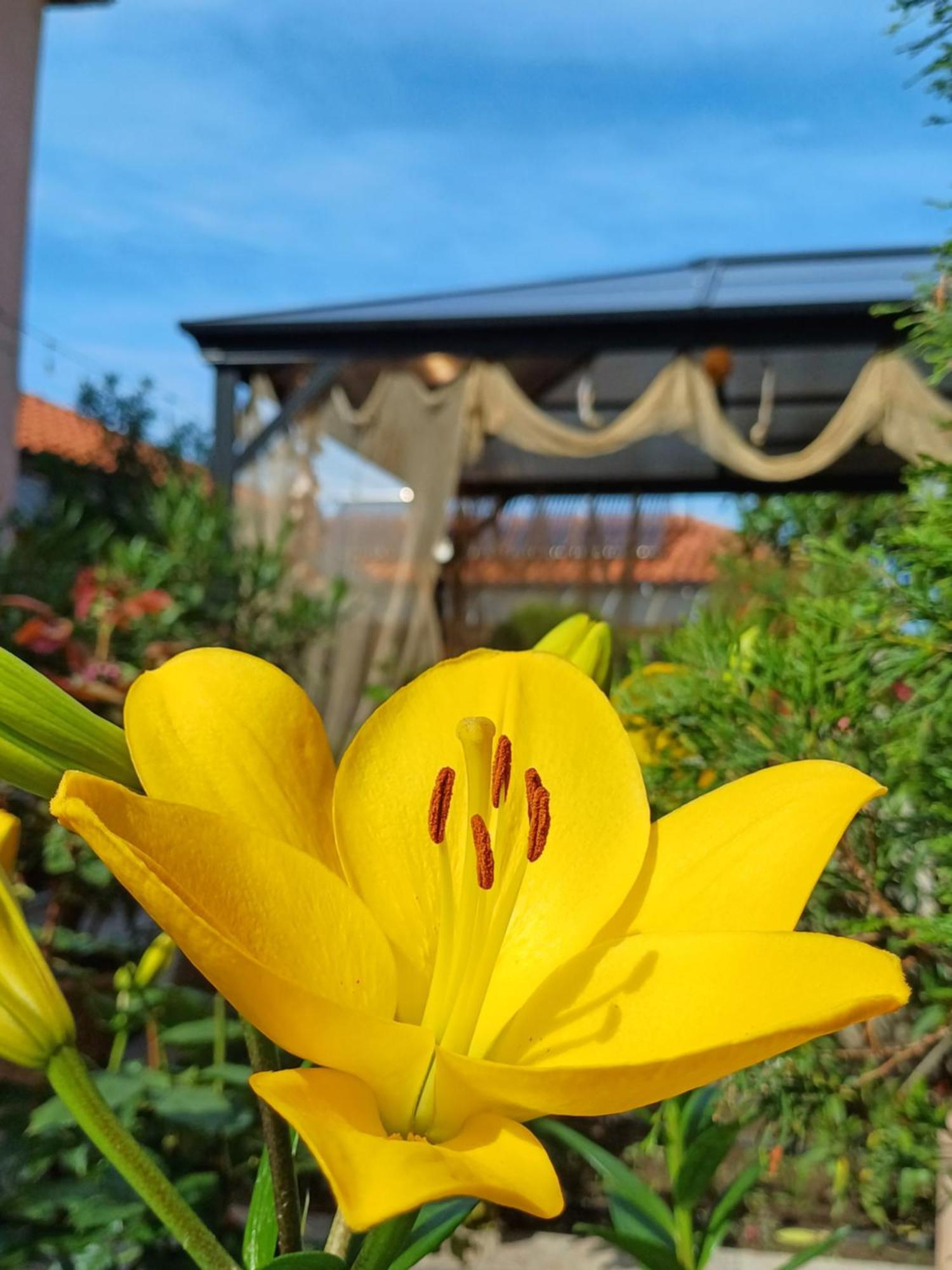 Hotel Dom Zaharievi Byala  Camera foto