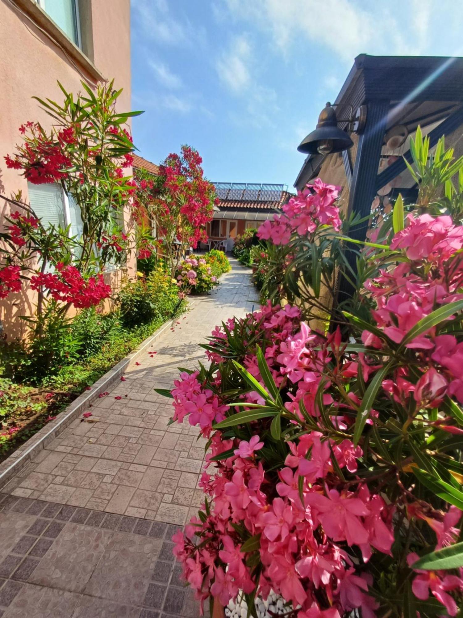 Hotel Dom Zaharievi Byala  Esterno foto