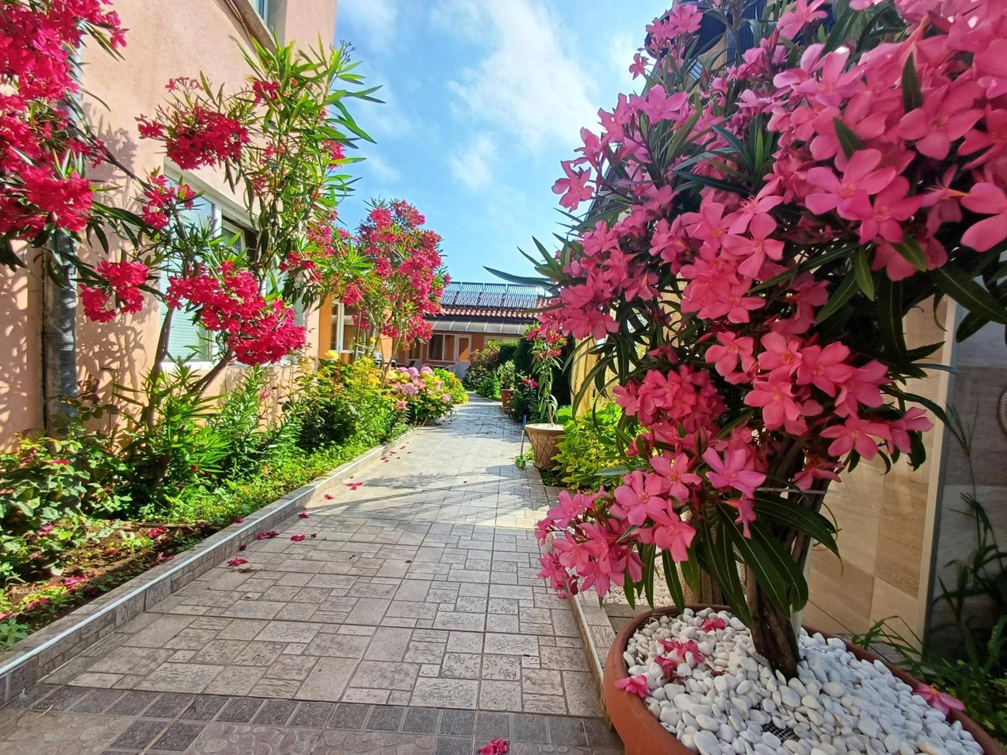 Hotel Dom Zaharievi Byala  Esterno foto