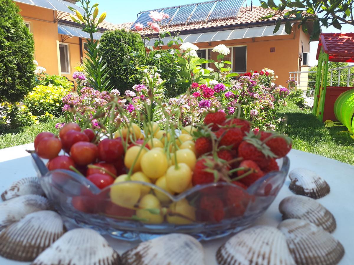 Hotel Dom Zaharievi Byala  Esterno foto